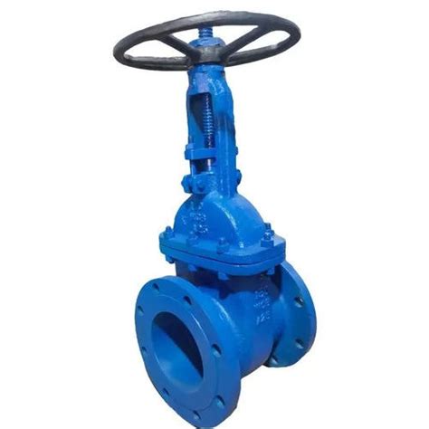 Mm To Mm Stainless Steel Gate Valve At Best Price In Ahmedabad