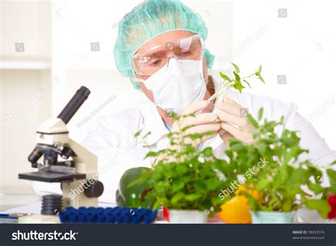 Researcher Holding Gmo Vegetable Genetically Modified Stock Photo (Edit ...