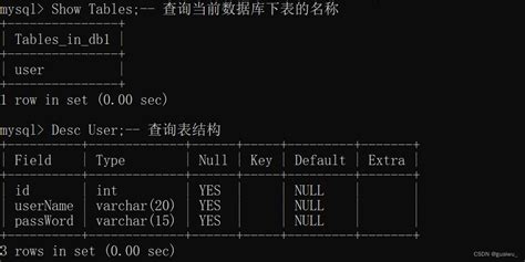 Mysql 2（数据模型 Sql通用语法 Sql分类） Csdn博客