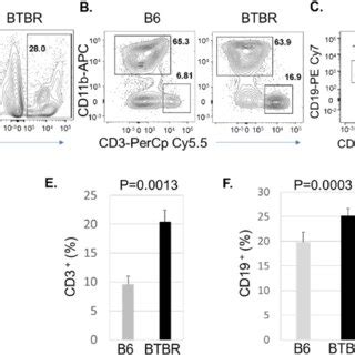 Btbr Mice Have Significantly Higher Frequency Of T Cells And Lower