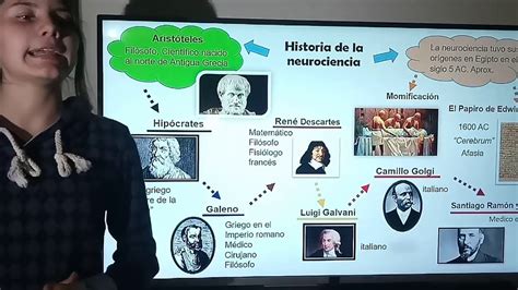 Linea De Tiempo Historia De La Neurociencia Youtube Images