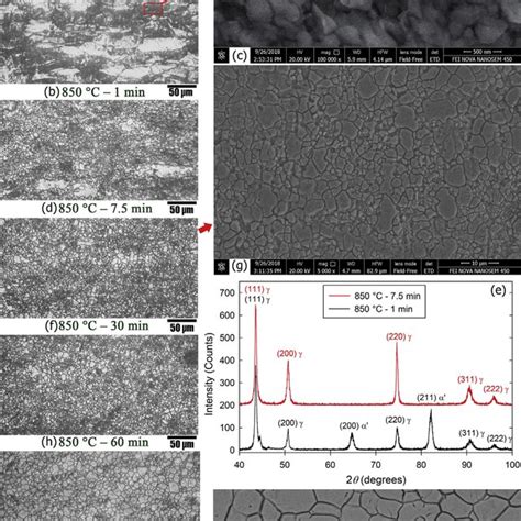 Obtained Microstructures And Xrd Patterns After Reversion Annealing Of