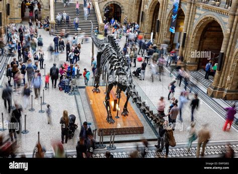 The Hintze Hall With Diplodocus Skeleton In The Natural History Museum