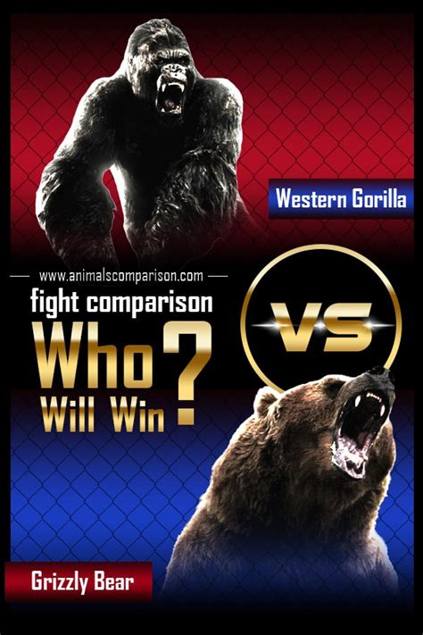 Grizzly Bear vs. Western Gorilla Fight comparison, who will win?