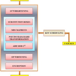 Apriority heuristic demonstration | Download Scientific Diagram