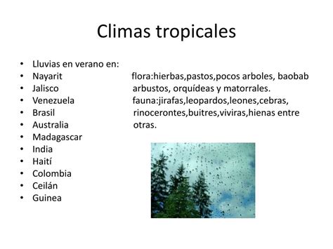 Ppt Los Climas En El Mundo Powerpoint Presentation Free Download