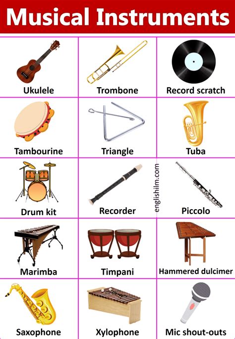 Names of The Musical Instruments with Images | English ilm in 2024 ...