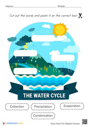 Free Printable Water Cycle Worksheets for All Grades