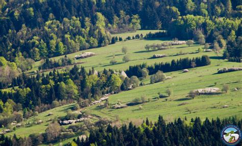 Przewodnik Po Kro Cienku Nad Dunajcem Poznaj Pieniny