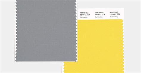 Grey Colour Pantone 70 Photo