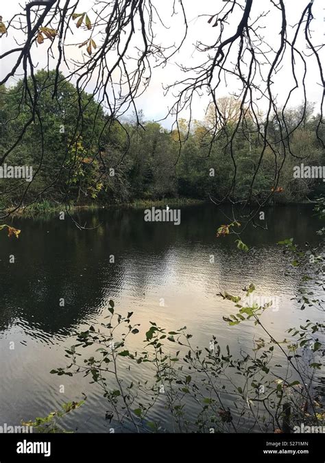 Pool At Haden Hill Park Sandwell Stock Photo Alamy