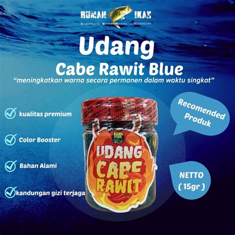 Jual Udang Cabe Rawit Blue Bangfish X Fajar Arief Untuk Channa Andrao