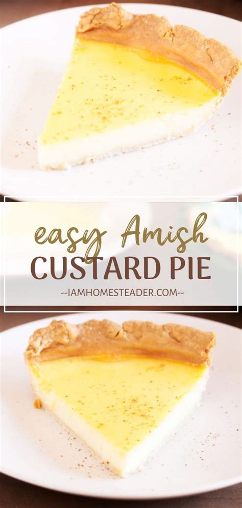 Amish Custard Pie Recipe Amish Recipes Custard Recipes Best Amish