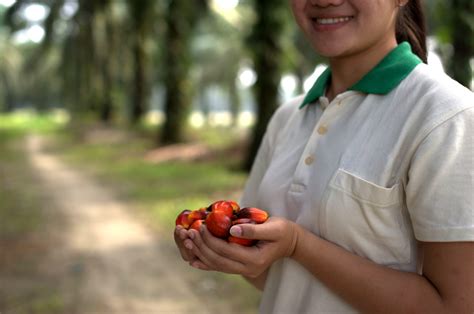 Musim Mas Pledges S$5 million to Charitable Causes - Musim Mas