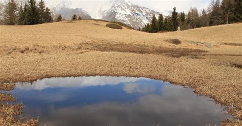 Puddle On Grassland · Free Stock Photo