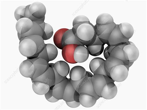 Docosahexaenoic Acid Molecule Stock Image F004 7015 Science Photo