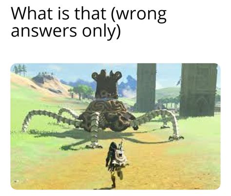 Clue Idk R Breath Of The Wild