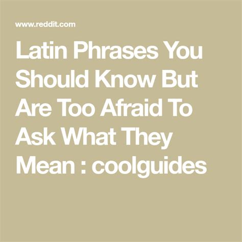 Latin Phrases You Should Know But Are Too Afraid To Ask What They Mean