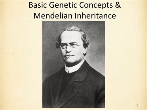 Ppt Basic Genetic Concepts And Mendelian Inheritance Powerpoint Presentation Id9283839