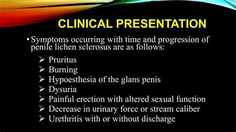 Balanitis Xerotica Obliterans Bxo Penile Lichen Sclerosis