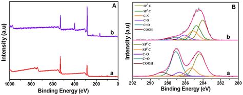 A Wide Scan Xps And B C S Core Level Spectra Of The A Go And B