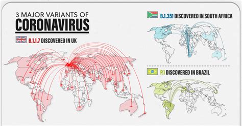 Explained: The 3 Major COVID-19 Variants Worldwide