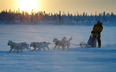 Arctic Exploration | The Canadian Encyclopedia