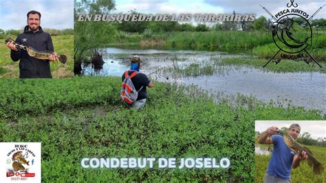 PESCA DE TARARIRAS CON JOSELO DE HKC YouTube