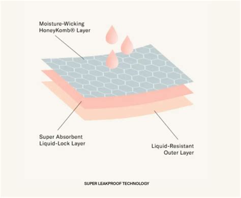 Knix Cotton Modal Super Leakproof Bikini The Panty Spot