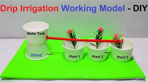 Drip Irrigation Working Model Using Paper Cup Eco Friendly Science Project Diy Diy Pandit