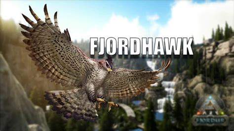 Arkfjordur Fjordhawk Z Hmen F Ttern Und Z Chten So Geht S