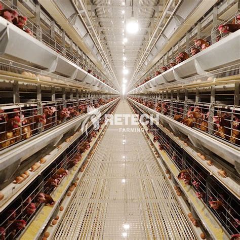 China H Type Poultry Farm Equipment 4 Tiers Layer Chicken Cages In