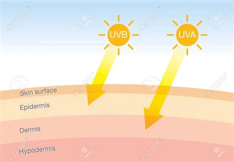 Uva Uvb Uvc คืออะไร พร้อมแนะนำ 5 ครีมกันแดดที่ต้องมี