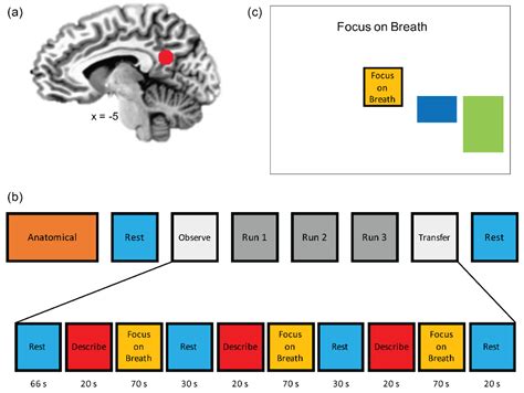 Brain Sciences Free Full Text Neurofeedback Augmented Mindfulness