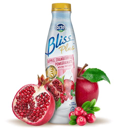 Lactel Bliss® Yogurt Drink Lactel