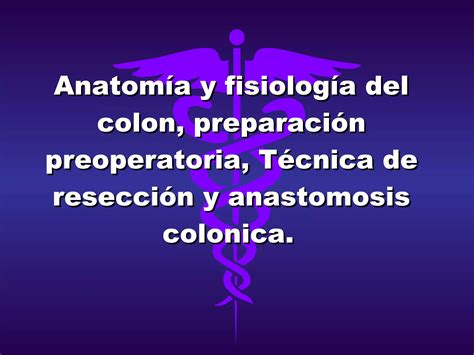 Anatom A Y Fisiolog A Del Colon Preparaci N Preoperatoria Ppt