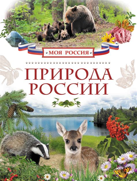 Книга С Фотографиями Природы — Mixyfotos.ru