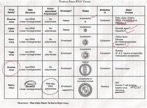 Table Of Rna And Dna Viruses From High Yield Micro Usmle Forum