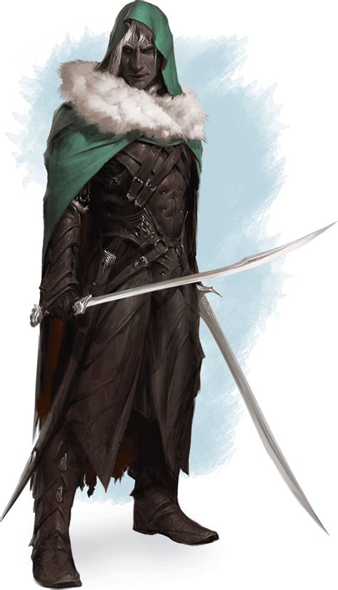 Drizzt Dourden Forgotten Realms Wiki Fandom