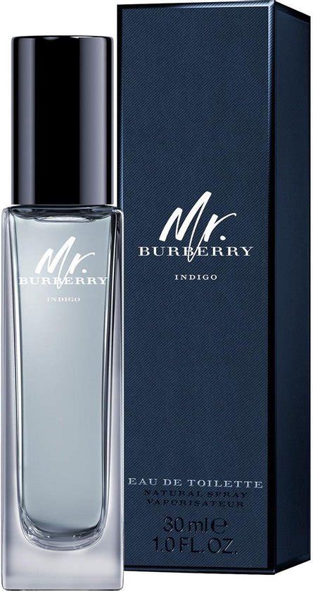 Burberry Mr Burberry Indigo Eau De Toilette Spray 30 Ml Bol