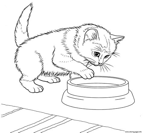 Gatito Javan S Para Colorear Imprimir E Dibujar Coloringonly