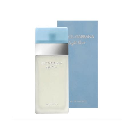 Dolce and Gabbana Light Blue Women's Perfume 25ml, 50ml, 100ml ...