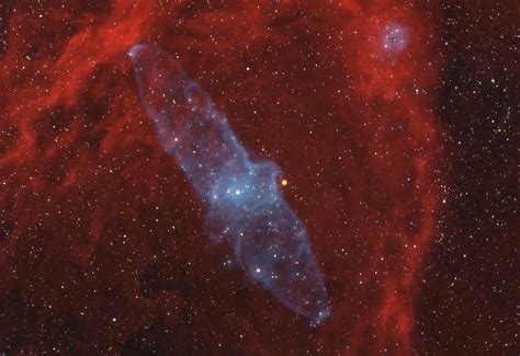 Flying Bat And Squid Nebula Sky And Telescope Sky And Telescope