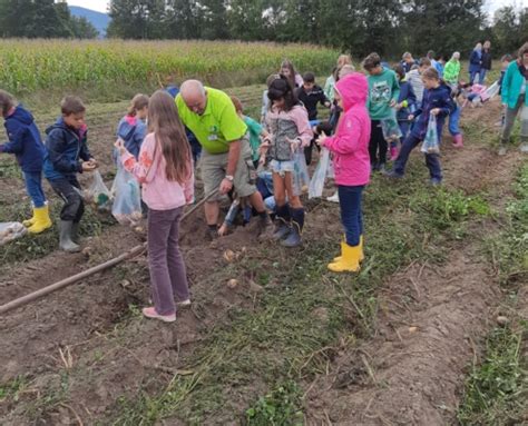 Kartoffelprojekt Der 4 Klassen Neuwindeck Schule Lauf