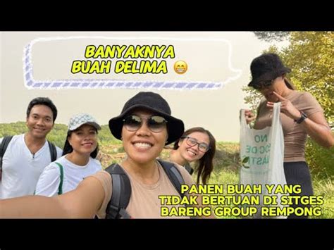 Serunya Pertama Kali Panen Buah Delima Liar Di Hutan Bareng Grup