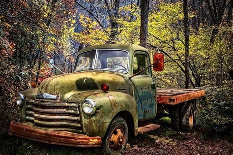 Chevy Truck In The Woods Is A Photograph By Debra And Dave Vanderlaan