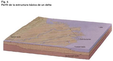 Deltas Estuarios Y Marismas Un Universo Invisible Bajo Nuestros Pies