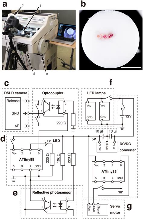 A novel imaging method for correlating 2D light microscopic data and 3D ...