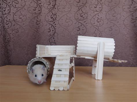 Diy hamster tunnel : r/hamsters