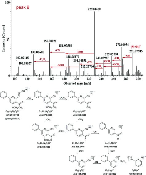 HR MS MS Spectra And Proposed Fragmentation Pathway Of Peak 9 4